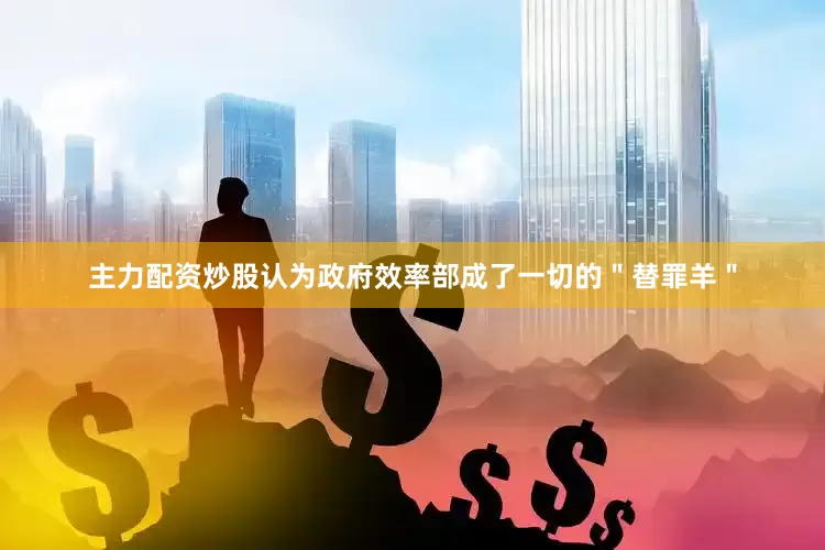 主力配资炒股认为政府效率部成了一切的＂替罪羊＂