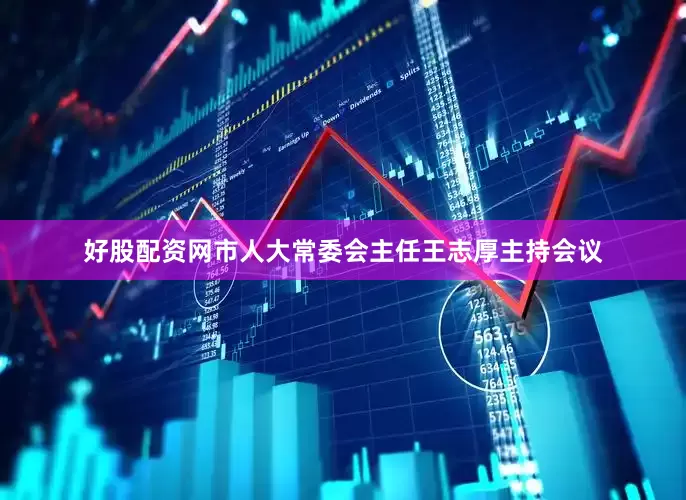 好股配资网市人大常委会主任王志厚主持会议