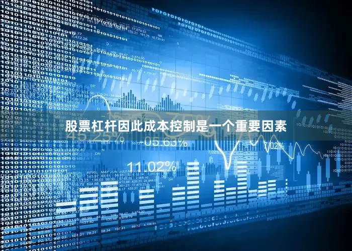 股票杠杆因此成本控制是一个重要因素